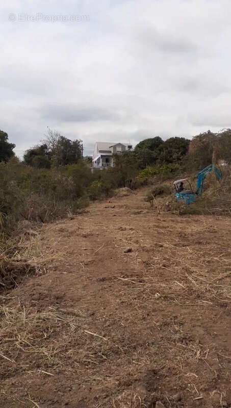 Terrain à VIEUX-HABITANTS