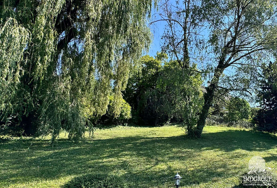 Terrain à COLLONGES-SOUS-SALEVE