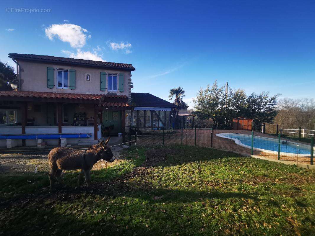Propriété de 2 maisons avec piscine sur 11ha Armous et Cau ( - photo 3