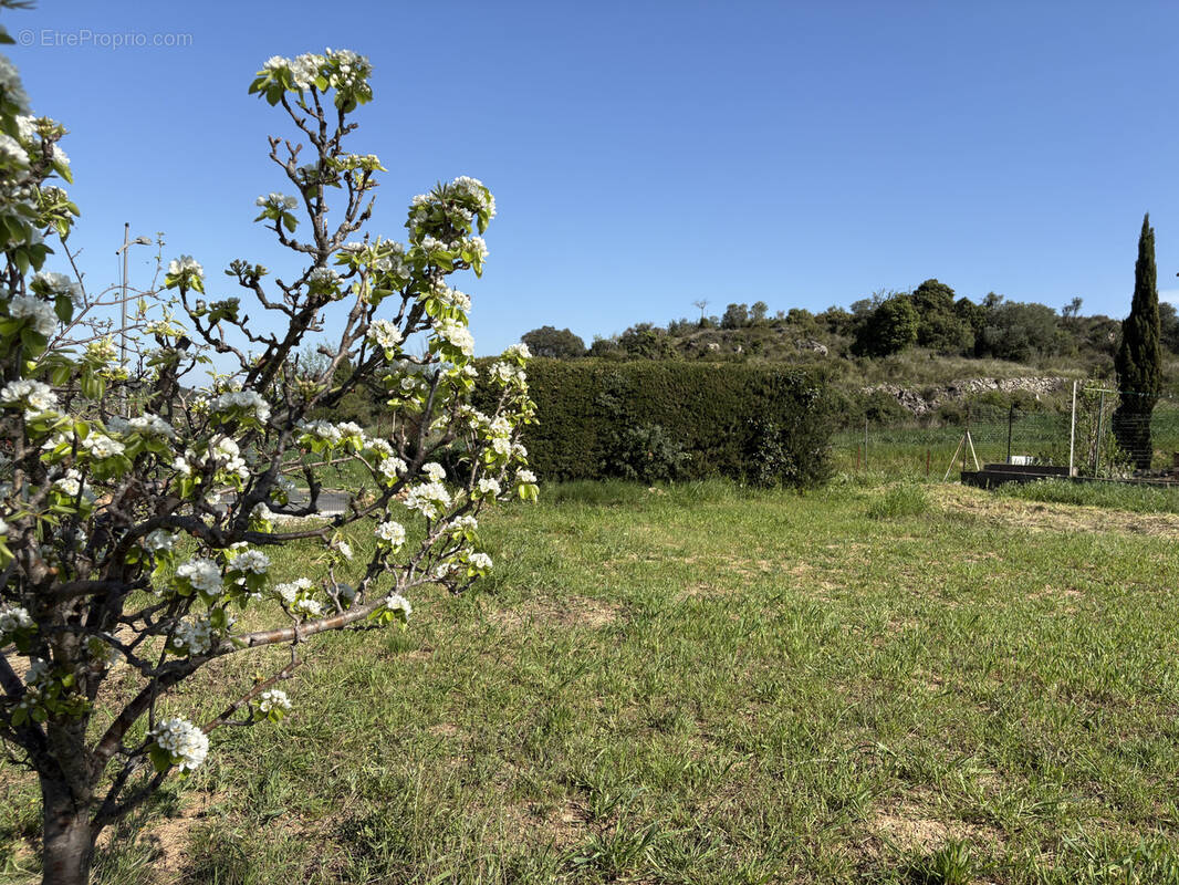 Terrain à FOUZILHON