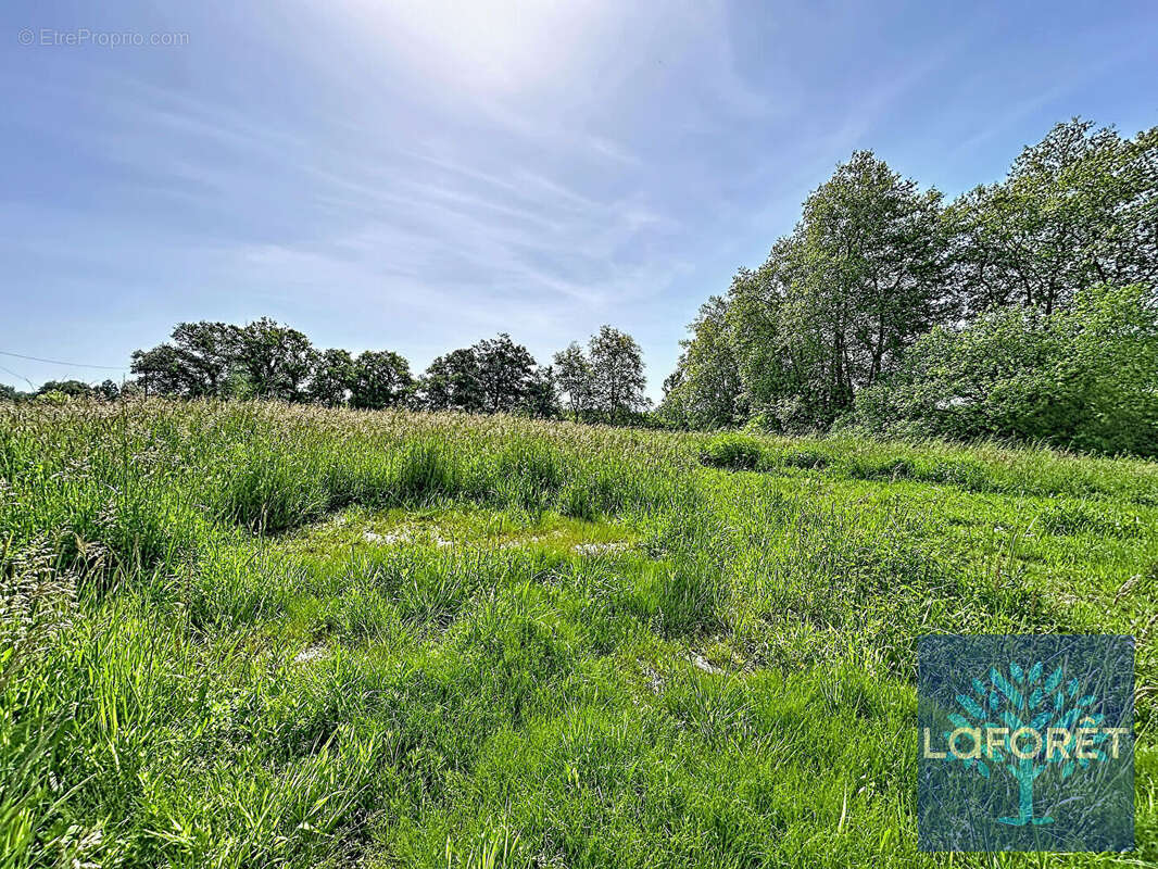 Terrain à SAUGNAC-ET-CAMBRAN
