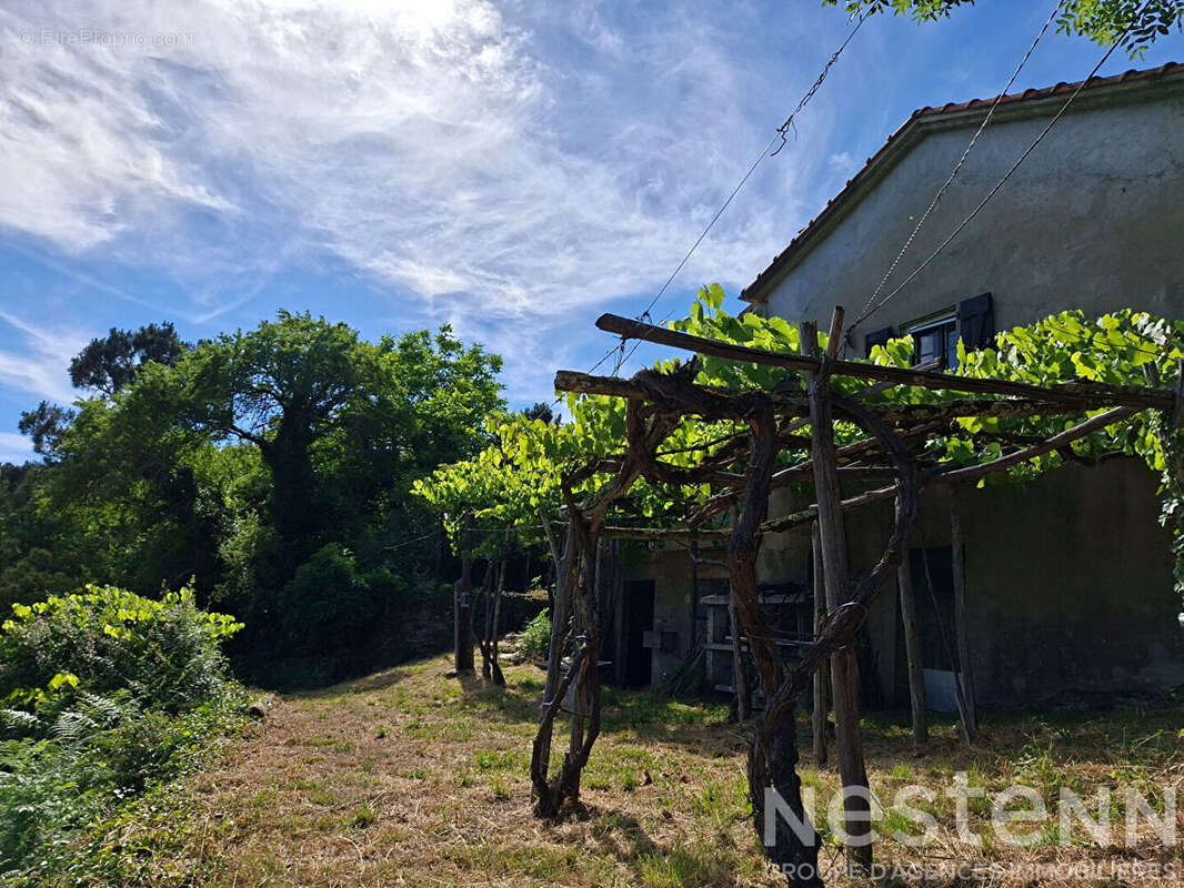 Maison en pierre avec 4 ha de terrain ? Vue dégagée, calme ? Le Collet-de-Dèze (Cévennes) - photo 12