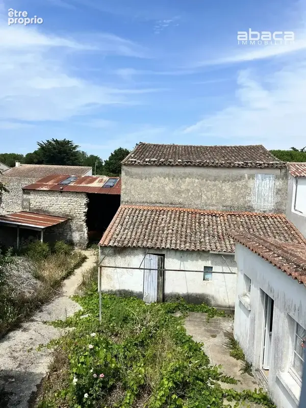 Maison, chai, garages , Le Bois Plage en Ré, Ile de Ré - photo 7