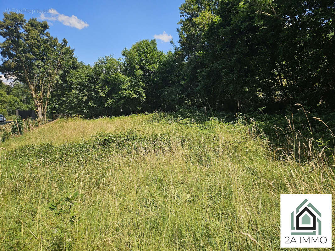 Terrain à BROMONT-LAMOTHE
