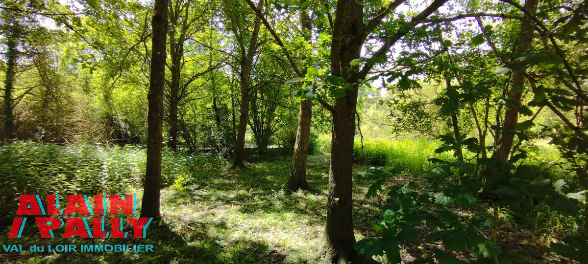 Terrain à BONNEVAL