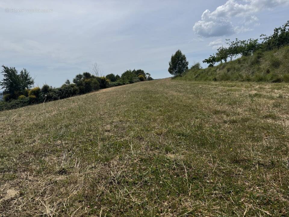 Terrain à MONTFURON