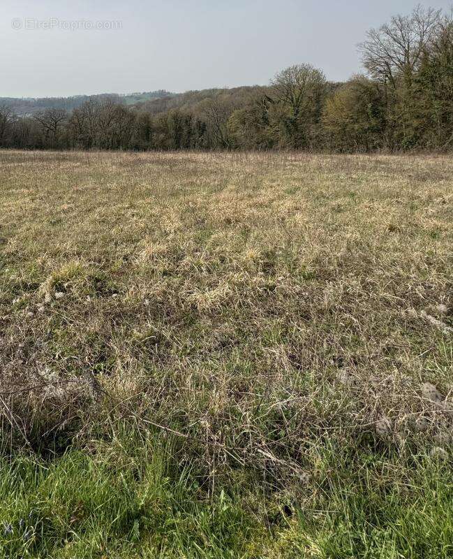 Terrain à MONTREUIL-AUX-LIONS
