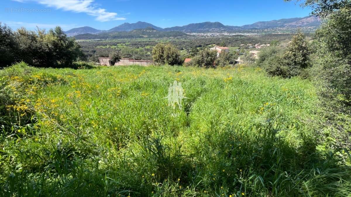 Terrain à BASTELICACCIA