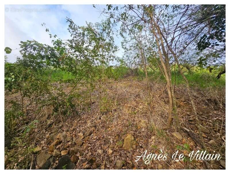 Terrain à BOUILLANTE