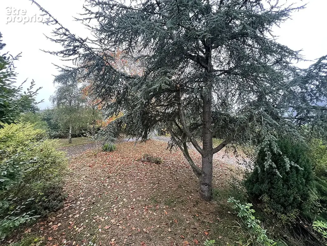 Maison traditionelle , terrain de 6547m2 - photo 8