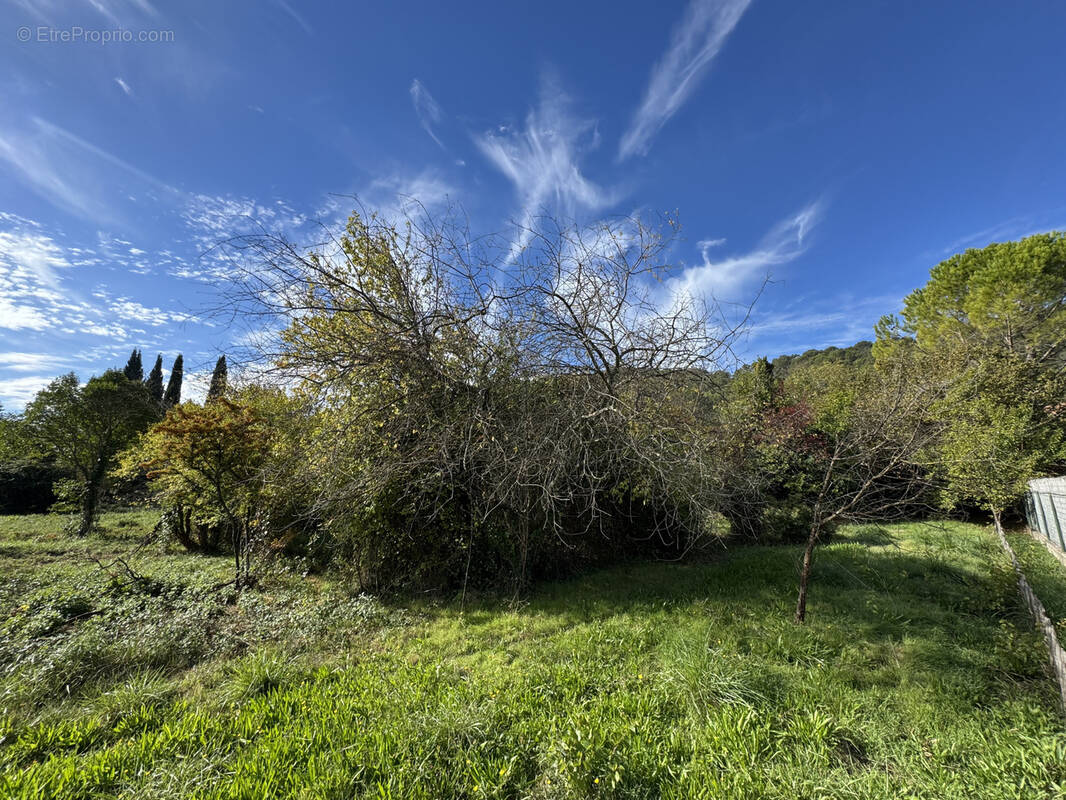 Terrain à CARNOULES