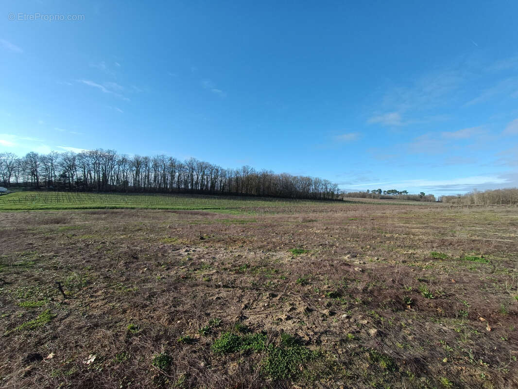 Terrain à SAINT-MAIGRIN