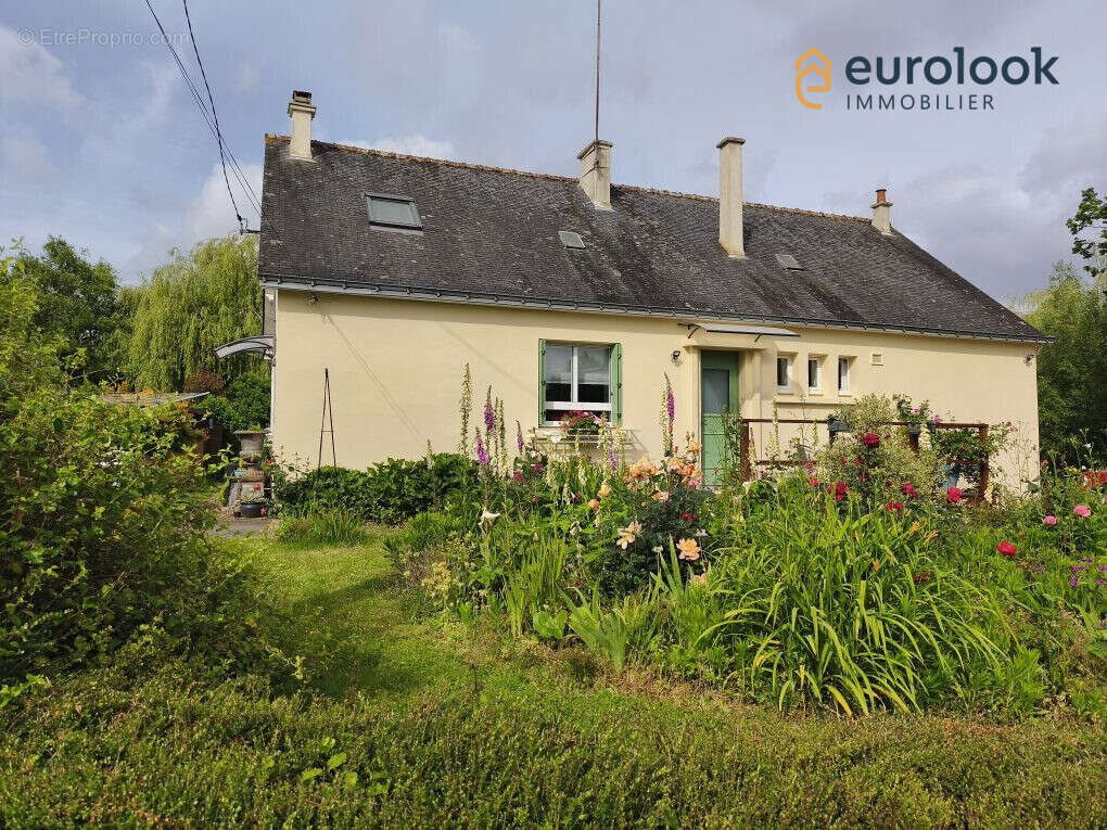 Maison à MALESTROIT