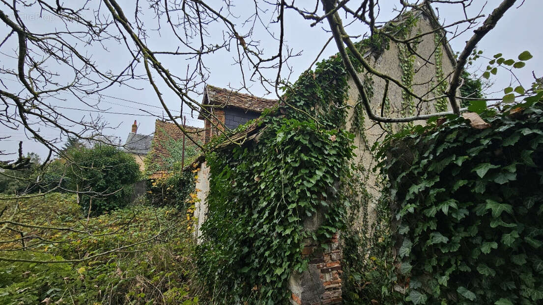 Maison à BUZANCAIS