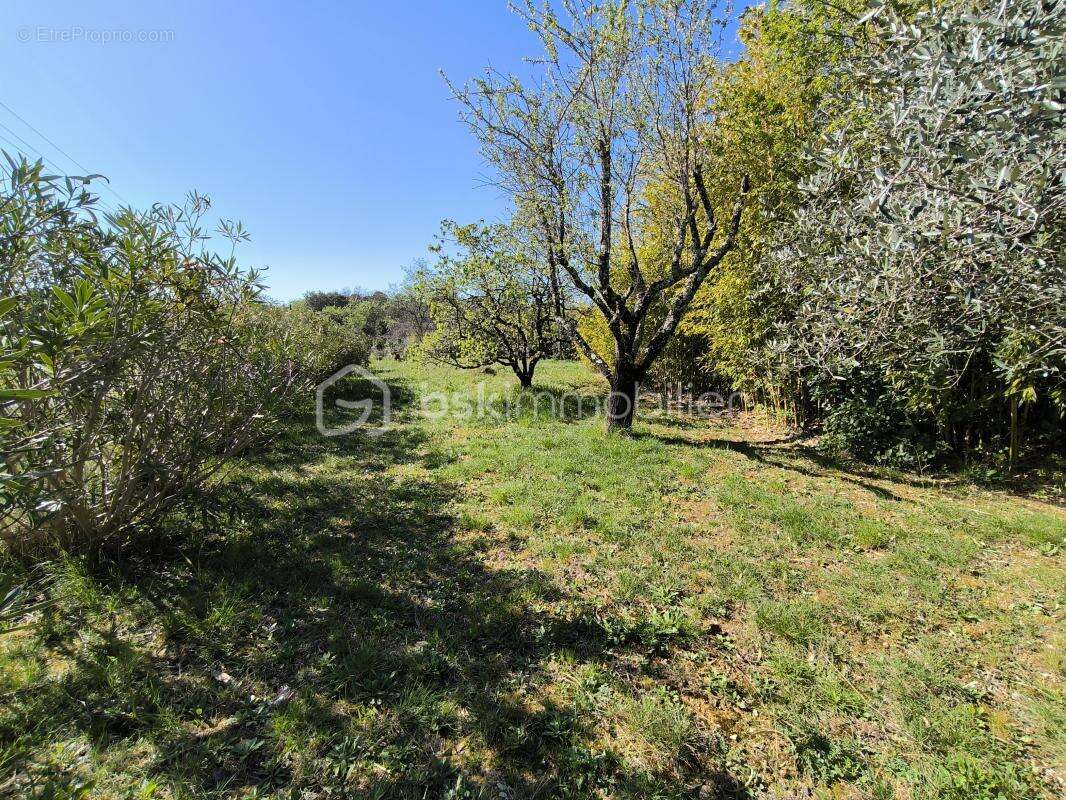 Maison à MASSILLARGUES-ATTUECH