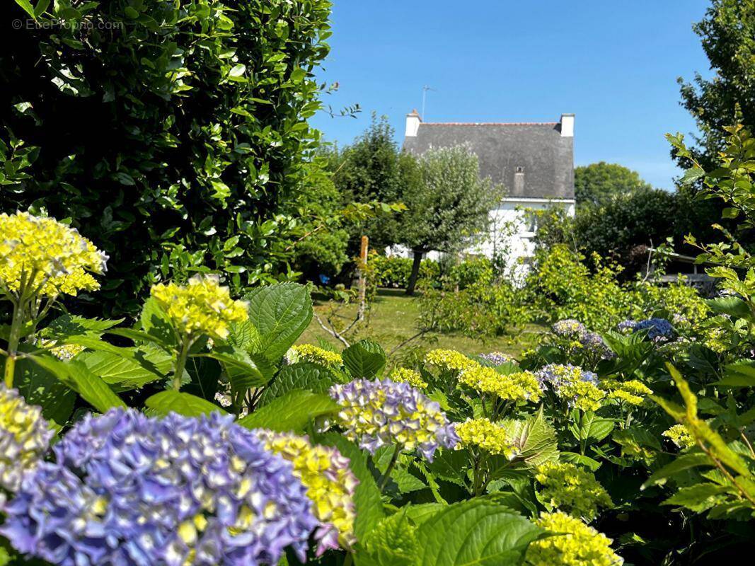 Maison à SAINT-PHILIBERT