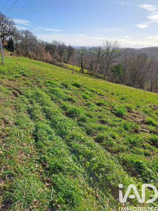 Photo 8 - Terrain à SARRAGUZAN