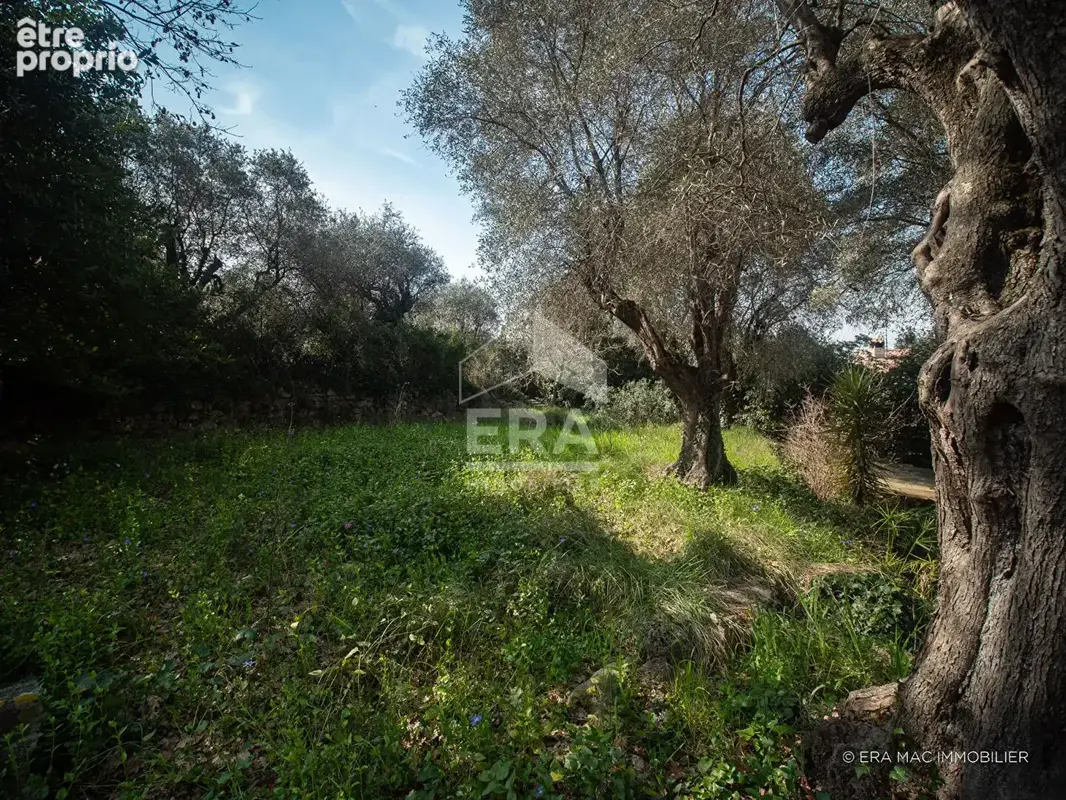 Maison 79m² à mouans-sartoux - photo 5