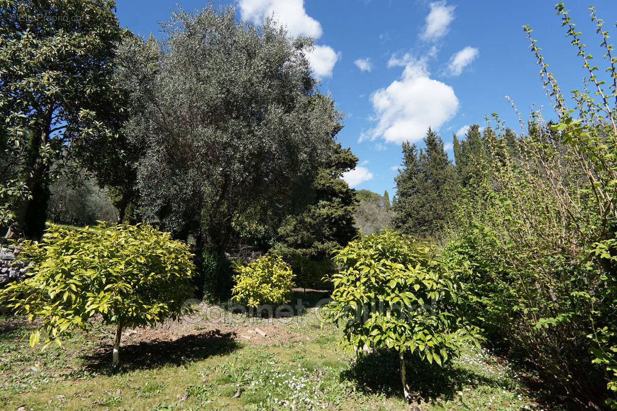 Maison à PEYMEINADE