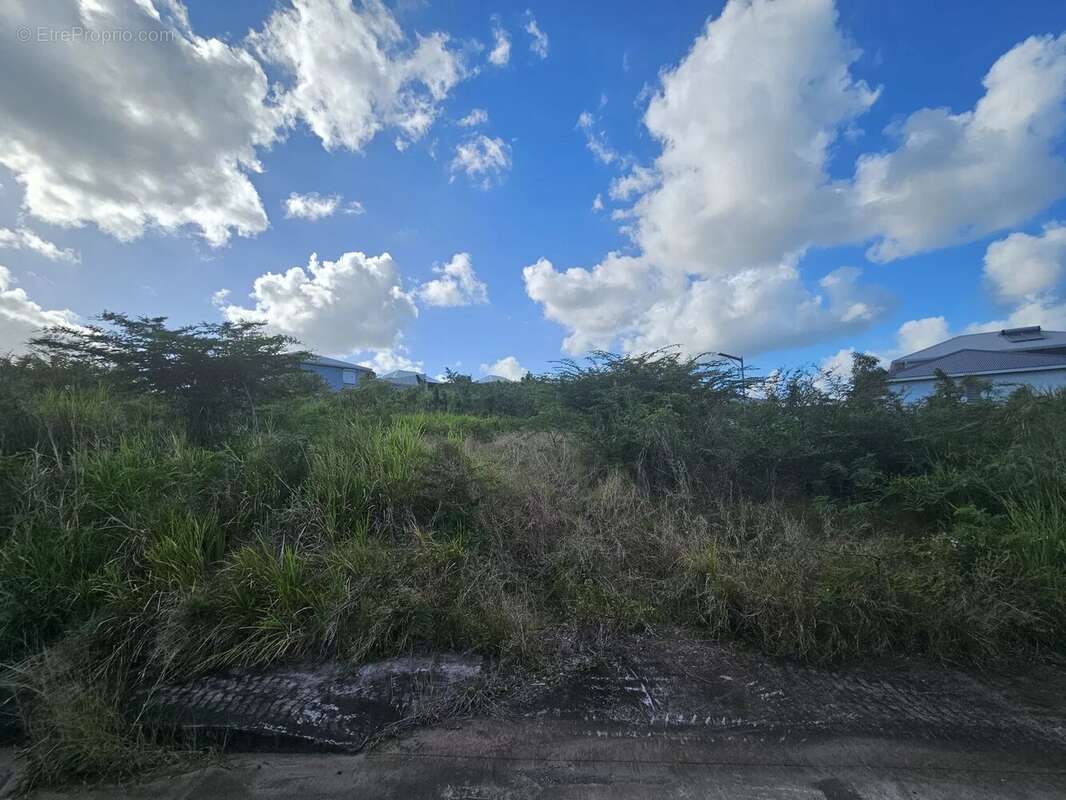 Terrain à LE DIAMANT