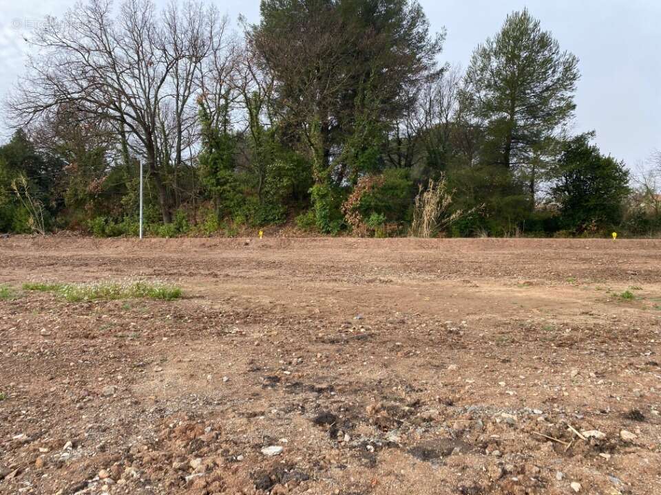 Terrain à CARNOULES