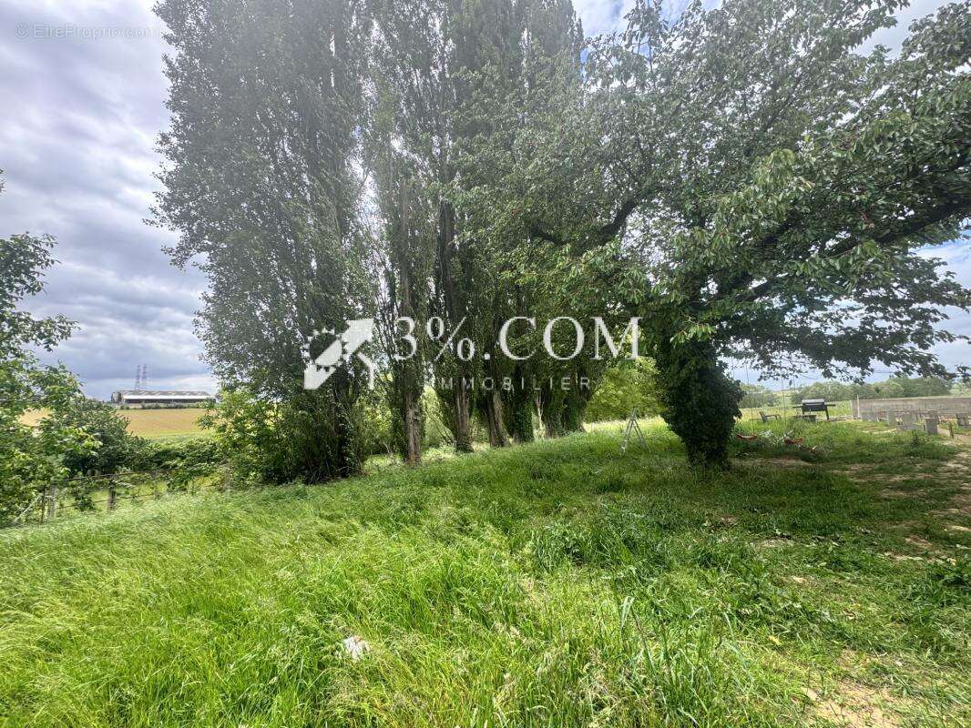 3%COM Très beau terrain viabilisé à PFETTISHEIM - photo 2