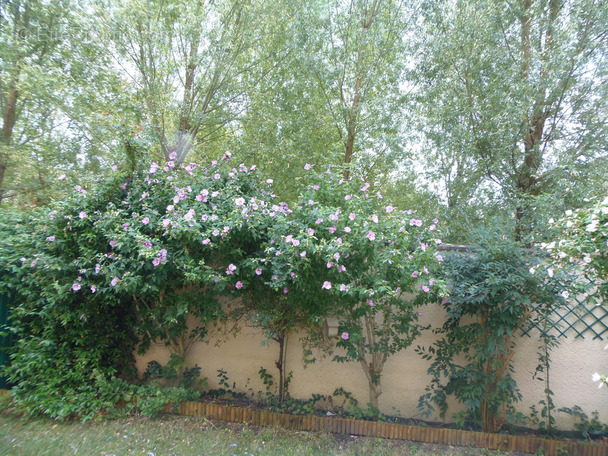 Maison à NEUILLY-SUR-MARNE