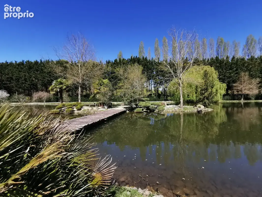 Propriete en sologne avec etang - photo 10