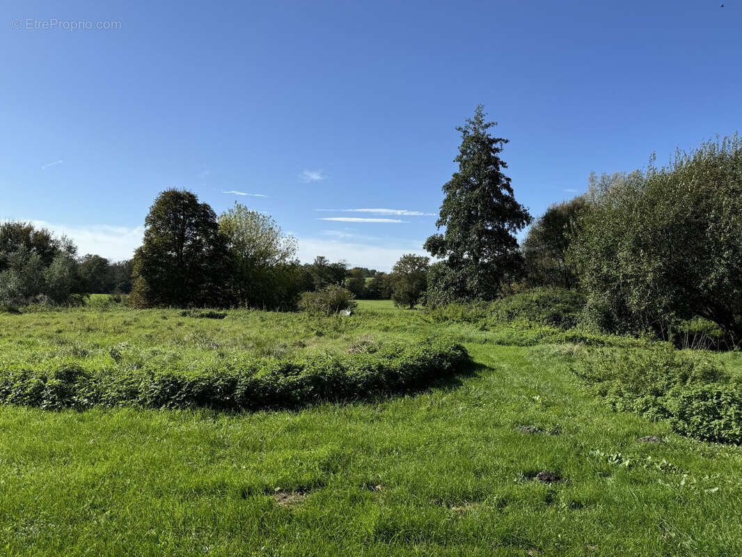 Propriété d'exception au Châtelet : 3,5 ha de nature avec piscine ! - photo 8