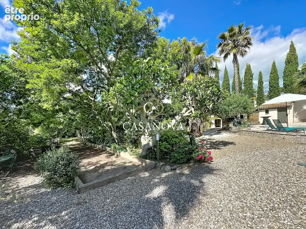 Aux portes de Pézenas, superbe propriété de caractère avec demeure principale, chambres d'hôtes, gîtes, piscine et ancienne cave - photo 13