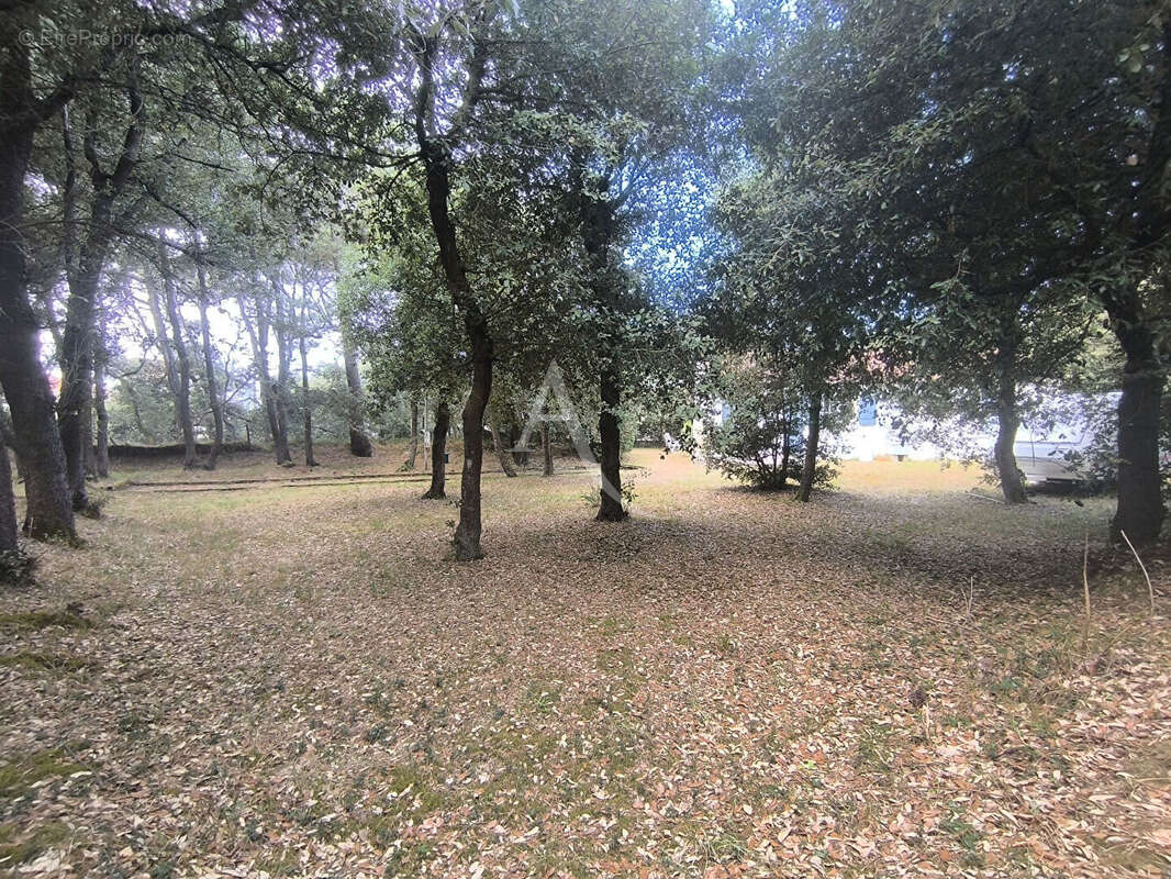 Maison à TALMONT-SAINT-HILAIRE