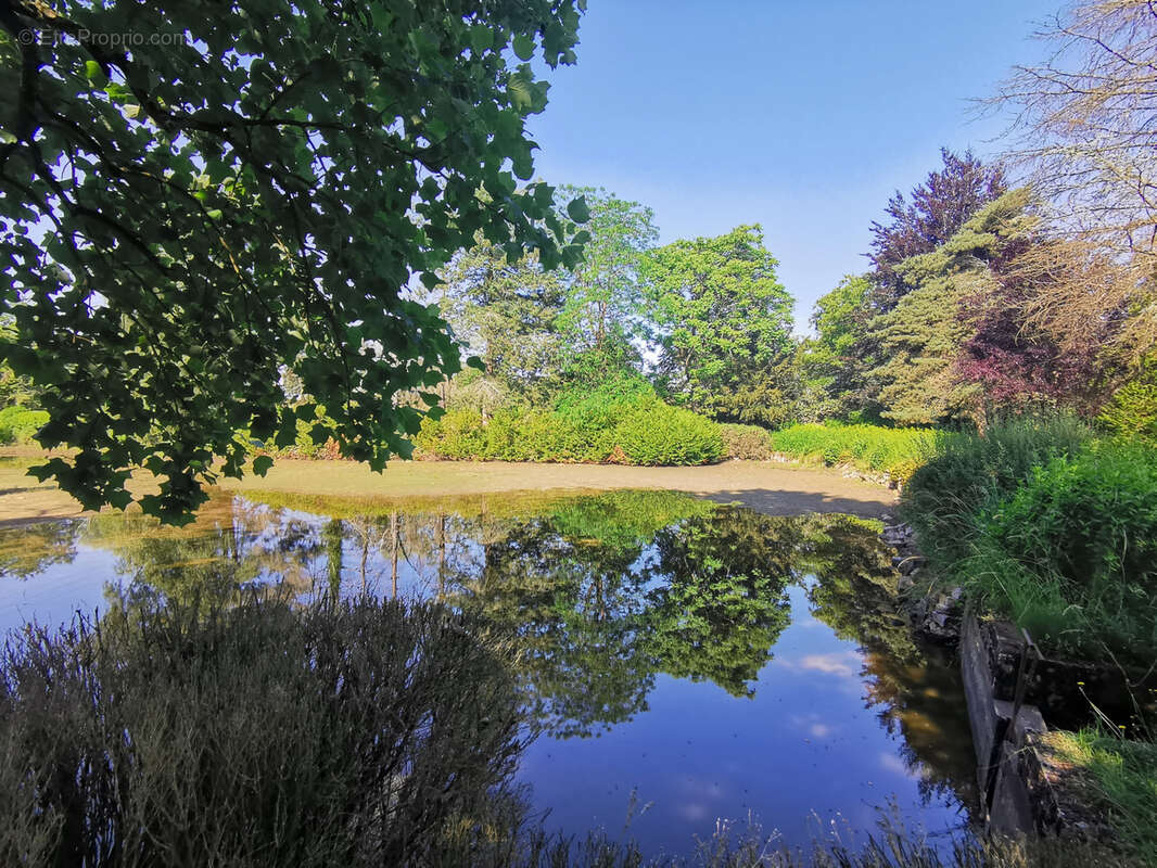 Rare à la vente - Ancien moulin et son domaine arboré avec étang proche de la forêt de Tronçais (03). - photo 12