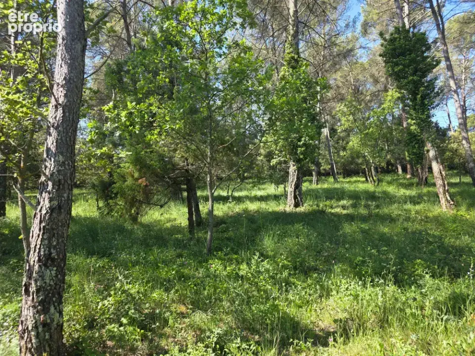 Terrain à GAREOULT