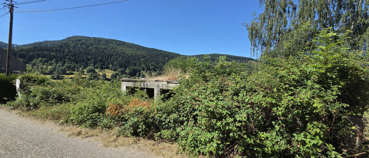 Natzwiller, exceptionnel, terrain à bâtir sur les hauteurs : projet de construction « Prêt à démarrer » avec v - photo 5
