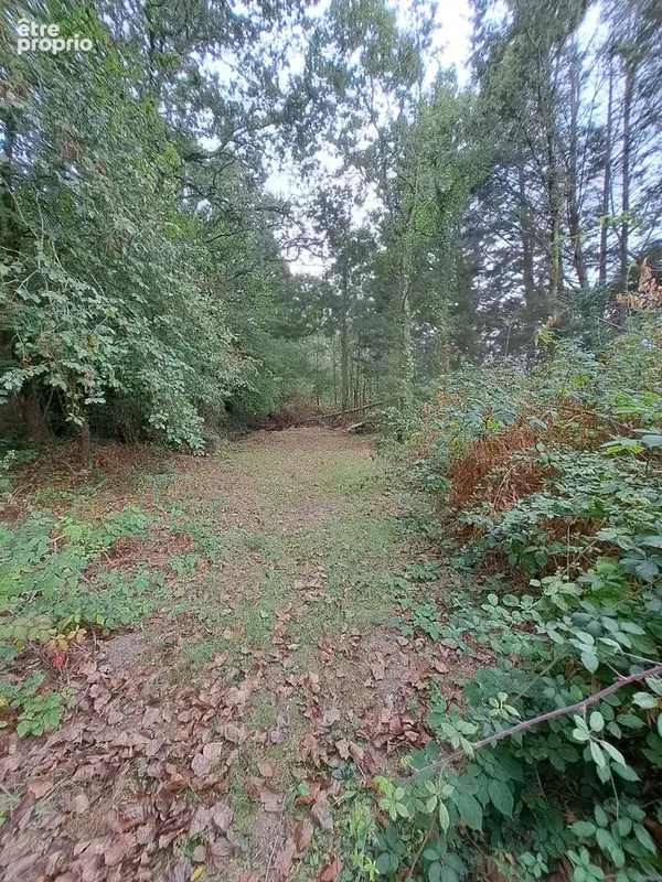 Longère atypique de 198 m2 de plain pied - photo 25