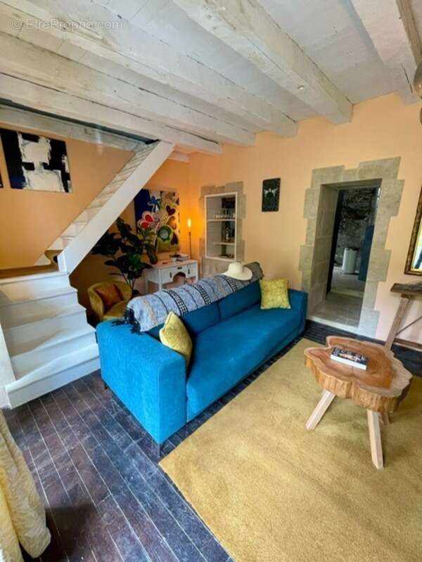 Maison à VIEILLEVIE