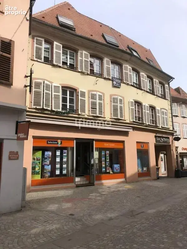 Sélestat centre : superbe duplex F4 de 90 m² clé en main - photo 14
