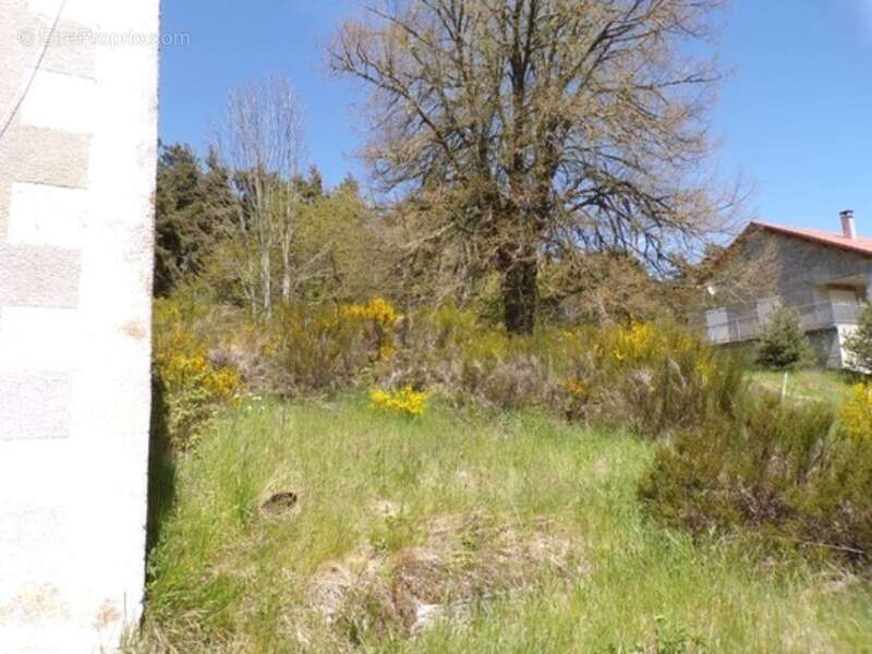 Dpt Lozère (48), à vendre ROCLES Idéal investisseur terrain viabilisé 1078m² environ - photo 3