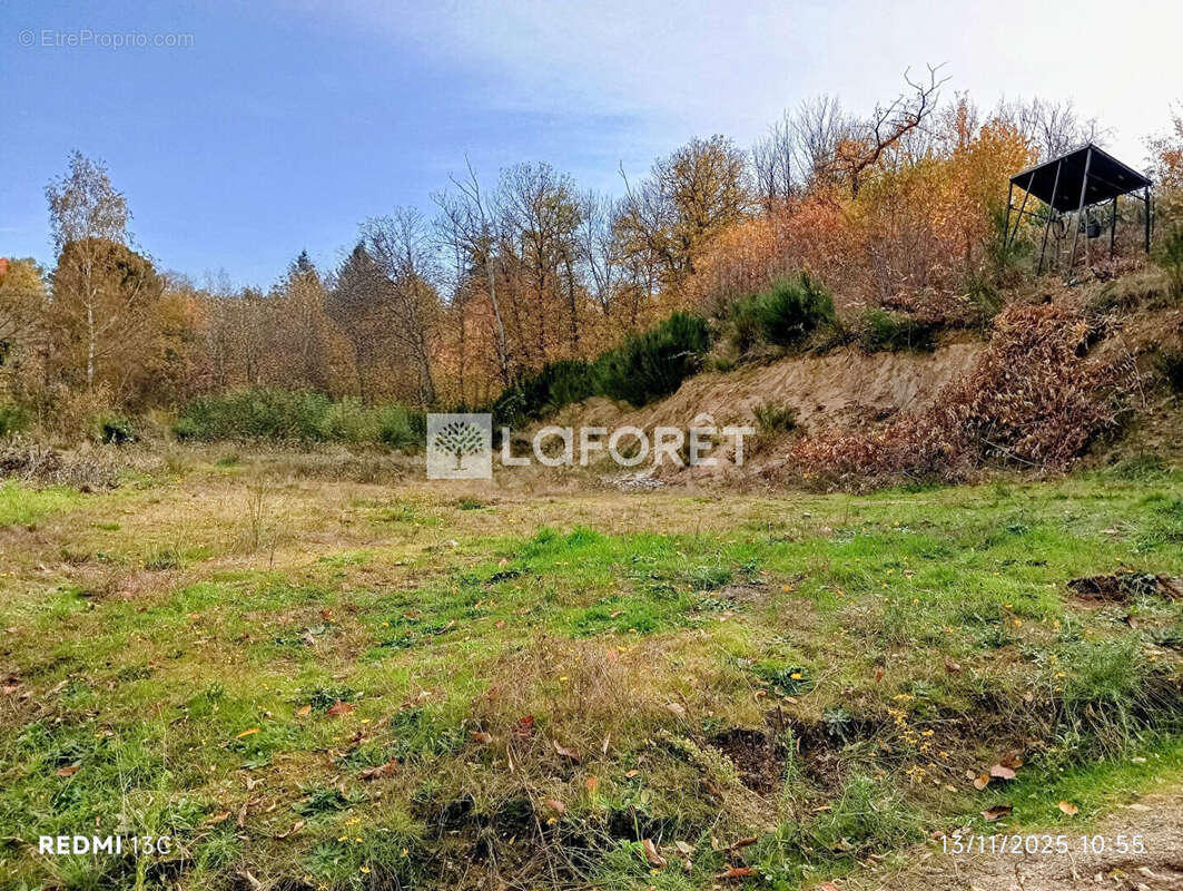 Terrain à SERRALONGUE