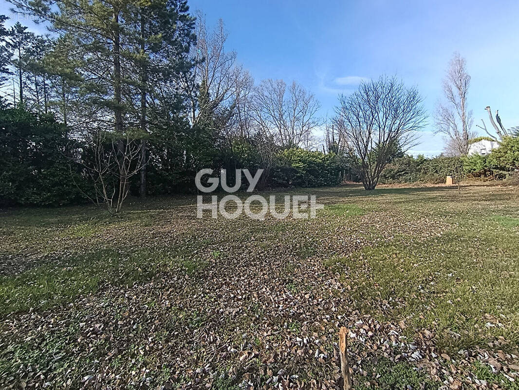 Terrain à LE THOR