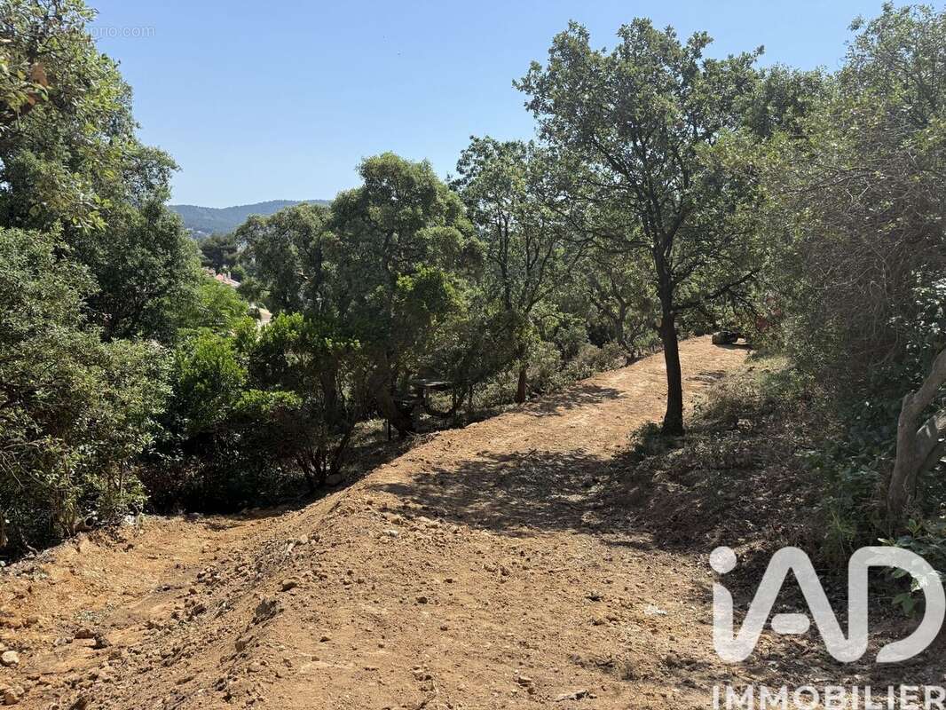 Terrain 2110 m² à Carqueiranne  - photo 5