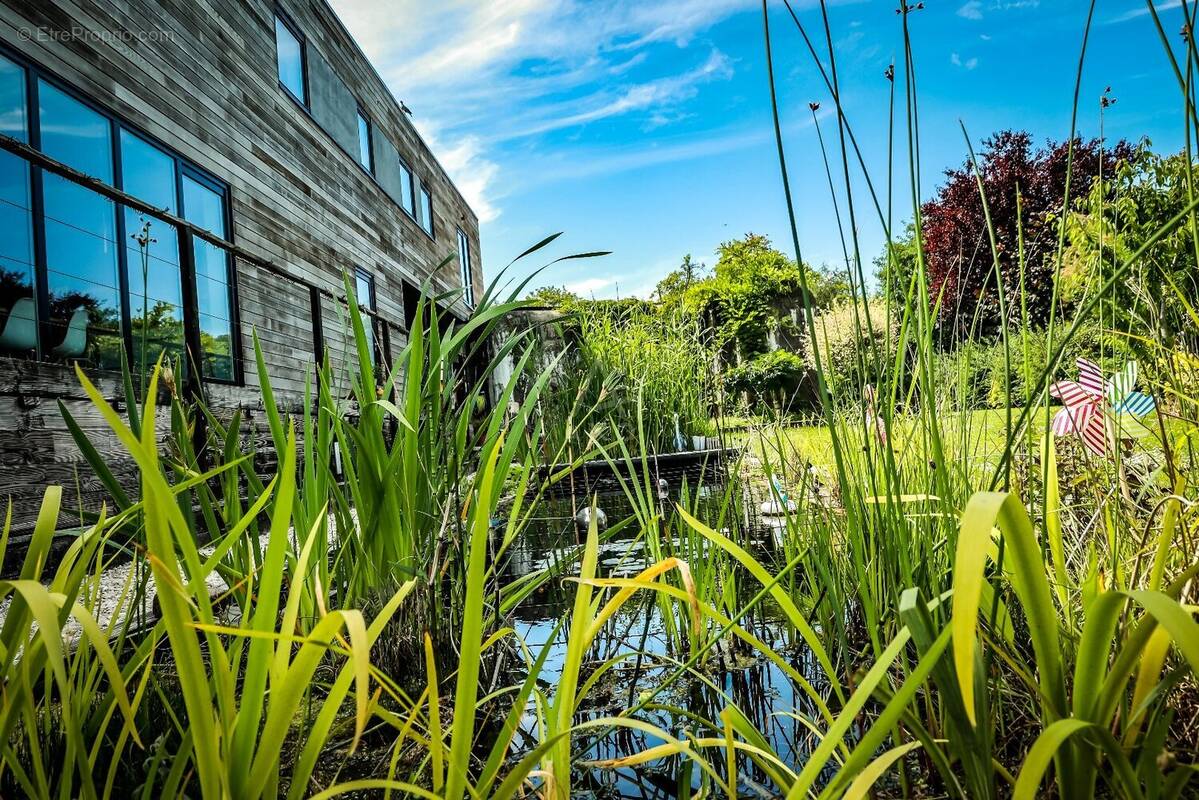 Maison à TOURMIGNIES