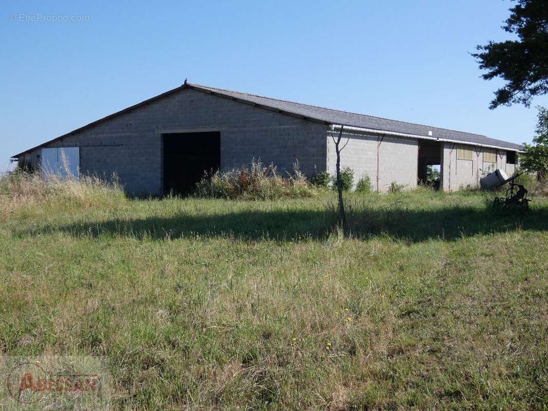 Commerce à CORDES-SUR-CIEL