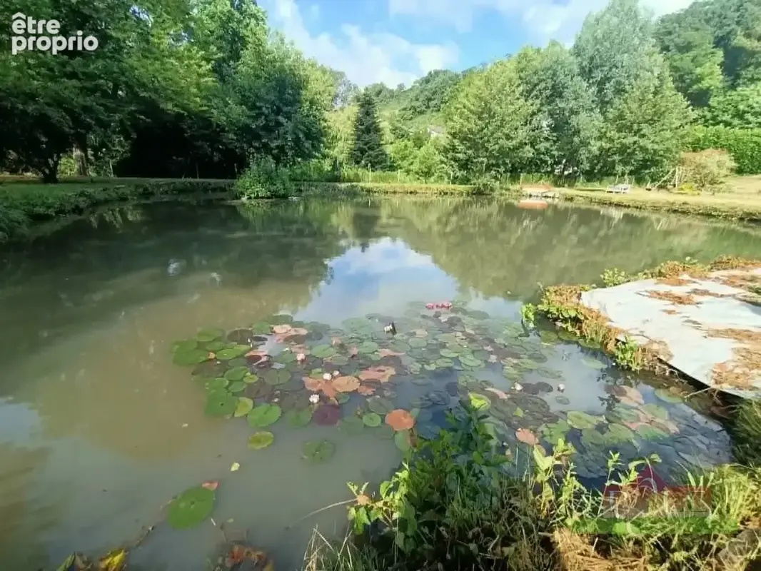 Villa familiale de 185 m² avec un grand terrain offrant  piscine, étang .. - photo 6