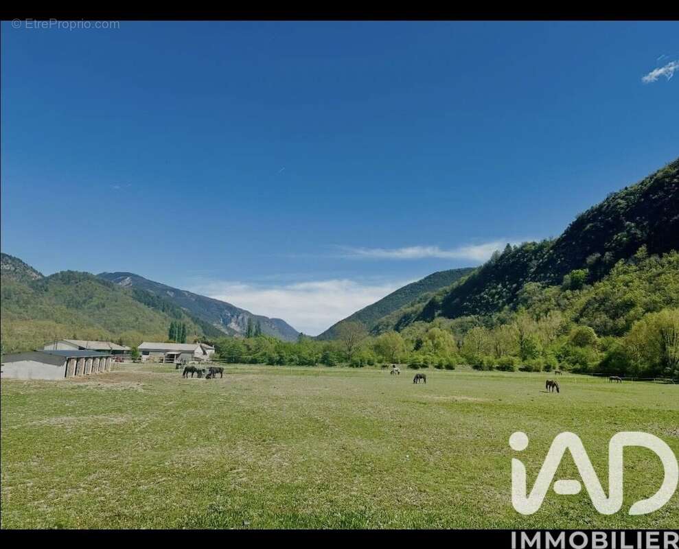 Photo 5 - Maison à ENTREVAUX