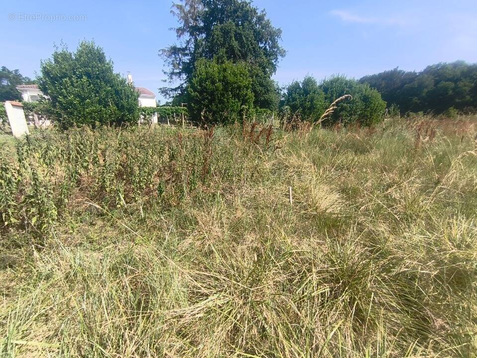 Terrain à MEDIS