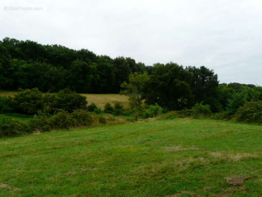 Ancienne Maison de Maître terre et bois 6 Ha - photo 9