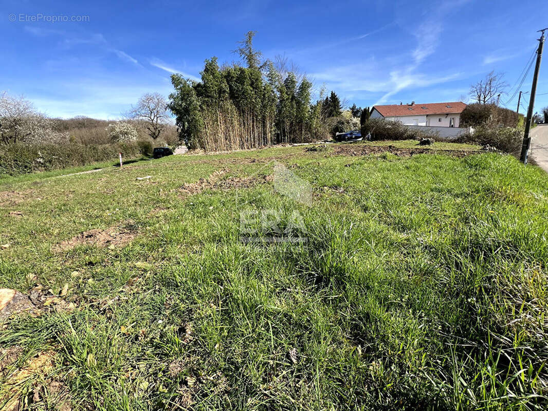 Terrain 1000m² à sornay - photo 3