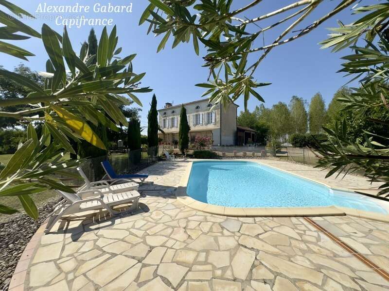 Maison en pierres 230 m² - 4 chambres - Terrain 7 370 m² - Piscine - Dépendances - photo 16