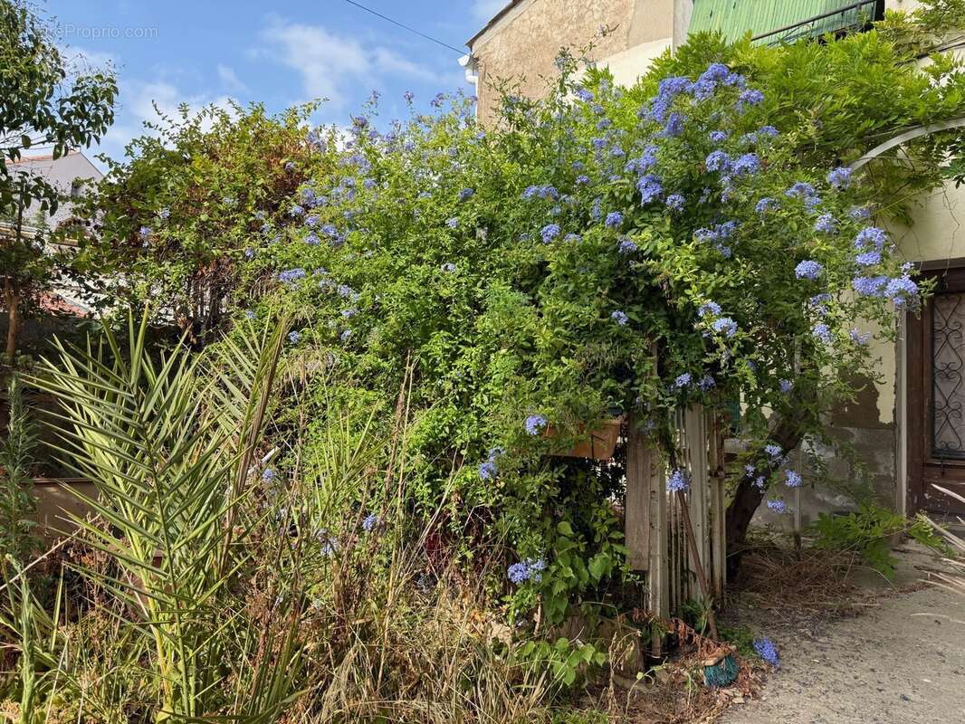 Projet de rénovation – maison de maître + seconde maison avec terrasse tropézienne - photo 12